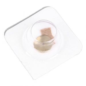 Accessoire de Roue à Cliquet, Pièce de Rechange de Roue à Cliquet en Métal pour Mouvement 3135 305, adapté aux Réparateurs de Montres (Canyitar, neuf)