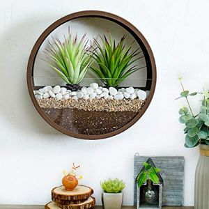 Pot de fleurs rond &agrave; suspendre, vase mural, Pot de fleur mural 2 en 1, Terrarium en verre et Vase mural rond en m&eacute;tal, support de plante &agrave; Air, conteneur Vertical, d&eacute;coration int&eacute;rieure(Bronze) (Wuyandus, neuf)