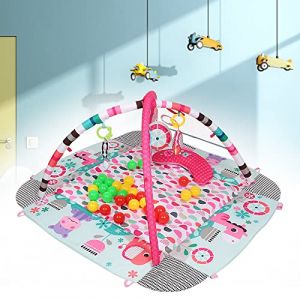 Tapis Tap Piano &Eacute;volutif de Jeux - Tapis d'&Eacute;veil avec Arche d'&Eacute;veil - Jeu Musical et &Eacute;volutif - Motricit&eacute; B&eacute;b&eacute; - Cadeau de Naissance -97,5 x 54 x 109 cm (Rose) (Hechheu, neuf)