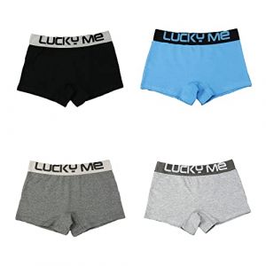 BaronHong Boxer Briefs Boyshorts All Day Comfort Cotton Underwear Flatlock Seams for Tomboy Masculine Lesbian (4-Pack(A),XL) (BaronHong, neuf)