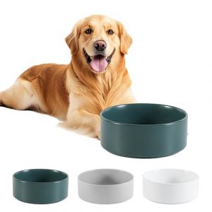 C&eacute;ramique Gamelle Chien Antid&eacute;rapante - Bol Chien Croquette et Eau pour Moyen et Grand Mod&egrave;le - Bol C&eacute;ramique Anti&eacute;claboussure - 21,5 cm - 750 g / 1750 ML - Vert (PTOBER, neuf)