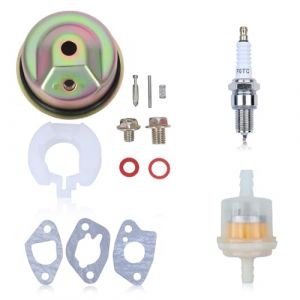 Adefol Kit de Carburateur pour Honda GX120 GX160 GX200 GXV120 GXV140 GXV160 Souffleuse &agrave; Neige, avce Filtre &agrave; Carburant, Bougie d'allumage, Remplacement 16010-ZE1-812 (Adefol Store, neuf)