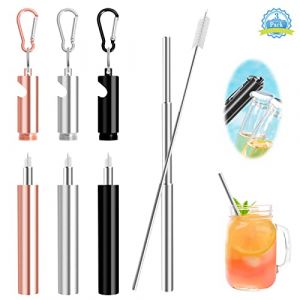 Pailles en Acier Inoxydable 3 Set Pailles Télescopiques 10-23 cm avec Tire-Bouchon Paille en Métal Réutilisable Portable avec Brosse de Nettoyage Mousqueton Porte-Clés Boîte (GH MAR STARTER, neuf)
