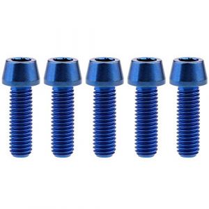 Ruifu Lot de 5 boulons &agrave; t&ecirc;te hexagonale M8 x 15 20 25 30 35 40 45 50 mm en titane Gr5 conique Pas 1,25 mm DIN912 Ultral&eacute;ger Lot de 5 (M8 x 25 mm, Bleu) (Fashion F&S, neuf)