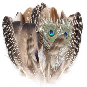 48 Pcs Plumes Loisirs Creatifs, Plumes D&eacute;coratives, Plume de Faisan Naturelles pour Projets DIY, Attrape-r&ecirc;ves, Chapeaux, masques, bijoux et d&eacute;corations de f&ecirc;te (JuHuaHui, neuf)