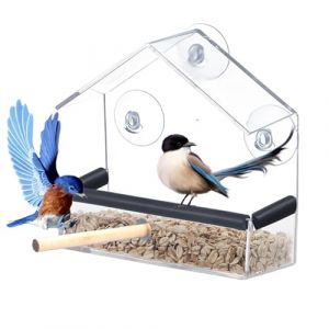 DeJivsin Transparente Mangeoires pour Oiseaux Sauvages, 15 x 15 x 6cm Fen&ecirc;tre avec Ventouses Puissantes Mangeoire pour Oiseaux, Bird Feeder pour Moineaux, Oiseaux Sauvages (Jiasin, neuf)
