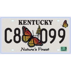 OPO 10 - Plaque D' IMMATRICULATION de Voiture USA - r&eacute;plique en m&eacute;tal 30x15 cms : Kentucky (C21) (easy-shop-express, neuf)