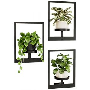 Bamworld Support Plantes d'Intérieur Porte Plante Mural - Lot de 3 Étagères Suspendues pour Fenêtre avec Porte Pots Design, Présentoir Mural pour Pot de Fleurs et Décor Maison (Breveté) (Bamworld, neuf)