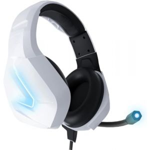 Orzly Casque de Jeu pour PC et Consoles de Jeu PS5, PS4, Xbox Series X | S, Xbox One, Nintendo Switch et Google Stadia - Son stéréo avec Micro antibruit - Hornet RXH-20 Édition Siberia (Syntiga Europe - FR, neuf)