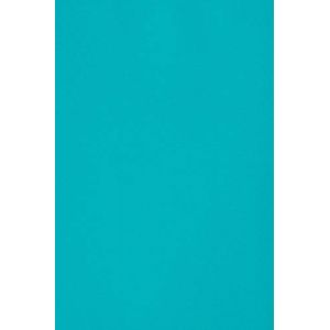 Netuno 20x carton bleu 250g papier d&eacute;coratif A4 210x297mm Burano Azzurro Reale id&eacute;al pour cartes de voeux scrapbooking bricolage invitations art et artisanat anniversaire DIY loisirs cr&eacute;atifs (netuno, neuf)