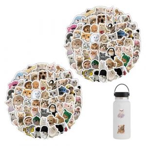 KEQAR 120 Pièces Stickers Chats Mèmes Drôles Chats PVC Étanches Autocollants Esthétiques pour Amoureux des Chats Bouteilles d'Eau Valises Notebook Téléphone (Forme de Chat Amusante) (APENGPENG, neuf)