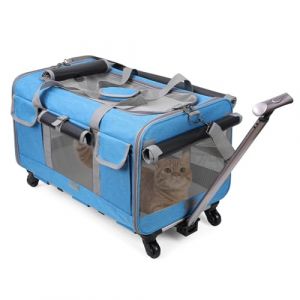 PETCUTE Sac de Transport pour Chien/Chat à roulettes,Pliable Sac de Transport Chats avec Poignée Télescopique,Caisse de Transport Chat en Maille Respirant avec Tapis Amovible,Airline Approuvé (ZHI-INNOVATIVE LTD, neuf)