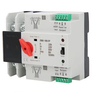 Jadeshay Commutateur de Transfert, 220V Inverseur de Source Automatique à Double Alimentation Sélecteurs Électriques pour Municipal, ZGQ5-100/2P (Omykou, neuf)