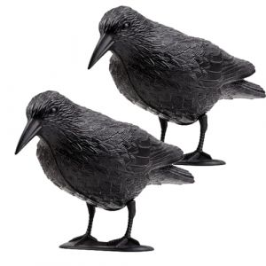 Tymar Répulsif contre les pigeons pour balcon - Répulsif contre les pigeons - En plastique - Corbeau - Lot de 2 (Julmax, neuf)