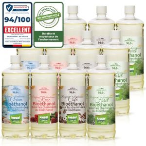 KieselGreen Bio&eacute;thanol 12 x 1 Litre avec Parfum pour Chemin&eacute;e &agrave; l'&eacute;thanol - Bio&eacute;thanol comme Parfum d'ambiance - Parfum pour Chemin&eacute;e &agrave; l'&eacute;thanol Bio int&eacute;rieur ou feu de Table au Bio&eacute;thanol (KBH Online, neuf)
