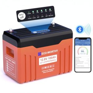 ECO-WORTHY Bluetooth Batterie Lithium 12V 100AH Batterie Lifepo4 avec Protection Basse temp&eacute;rature et 100A BMS,1280Wh Batterie pour Camping-Car, Panneau Solaire, Kit Solaire, Bateau, Moteur Trolling (Lvxingxia, neuf)