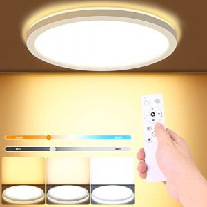 LEZOE Plafonnier LED Dimmable avec T&eacute;l&eacute;commande, 18W LED Plat Luminaire 1800lm, Temp&eacute;rature de Couleur 3000K-6000K, 2.5cm Ultra Fin Plafonnier 22cm pour Chambre, Salon, Salle de Bain, Cuisine &Oslash;22cm (LEZOE, neuf)