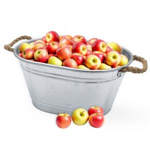 Spetebo Bac à Fleurs en Zinc avec Poignées en Corde de Jute - 64 x 42 cm - Bac à Plantes Ovale Argenté Galvanisé - Décoration de Jardin (Special-trends, neuf)