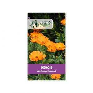 15 Graines de Souci des Champs (Calendula arvensis) - Plante Compagne Facile - Fleur Comestible et Mellifère, Orange Vif (Planète Graines, neuf)