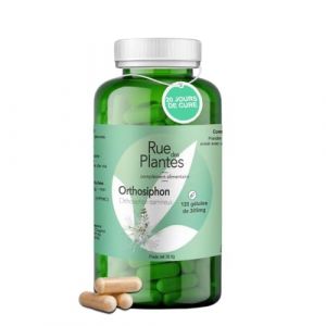 Orthosiphon 120 G&eacute;lules &ndash; Cure 20 Jours | Favorise l'&Eacute;limination R&eacute;nale de l&rsquo;Eau, Soutient le Drainage Naturel et le Confort Urinaire | Conditionn&eacute;e en France, RUE DES PLANTES (ruedesplantes, neuf)