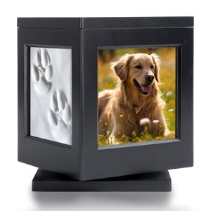 DiDiBirDi Urne pour animaux de compagnie, urne pour chien avec cadre photo, souvenirs, urne pour chat avec sac de rangement pour cendres, urne pour chien de 35 kg avec tampon encreur - Cadeau (BirDi, neuf)