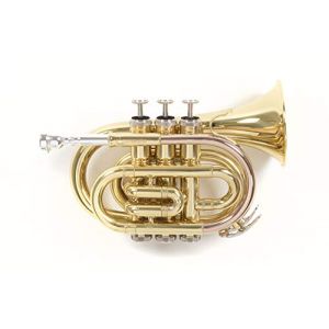 Roy Benson PT-101 Trompette de poche Sib Transparente (Royal Ecommerce-France, neuf)