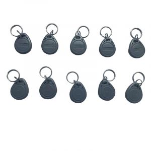 JWFKWNH Lot de 10 porte-cl&eacute;s RFID 125 kHz avec &eacute;tiquette RFID em4100 (gris) (JIAJIE MRO, neuf)