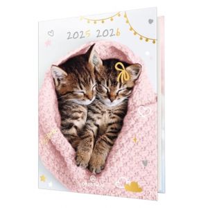 Oberthur - 1 Agenda Scolaire Journalier - Visuel Chatons Dans la Laine - Août 2025 à Juillet 2026 - Format 12 x 17 cm (Papeterie Libellus, neuf)