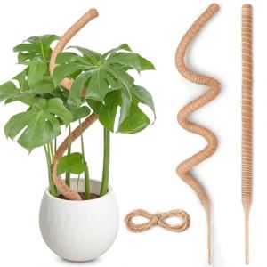 Tuteur Monstera pour Plantes, SproutMaven 120cm x 2 kit de Poteau de Mousse Monstera pour Plantes Grimpantes, Tuteur Coco pour Plantes d'int&eacute;rieur (Xinzhan Ltd, neuf)