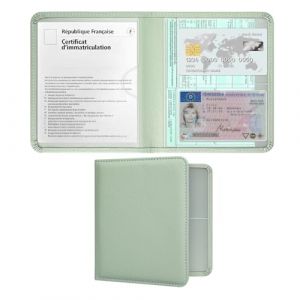 RSAquar Porte-Documents Voiture pour Carte Grise et Assurance – Étui Compact en Cuir PU pour Boîte à Gants – Organisateur pour Permis, Papiers de Véhicule et Carte Verte (Vert Clair) (RSAquar-FR, neuf)