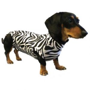 MPS Medical Pet Shirt pour Chiens, S+, Imprim&eacute; z&egrave;bre (Medpets, neuf)