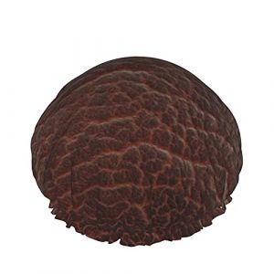 Bonnet de douche imperméable à l'eau de bain élastique réutilisable en cuir marron pour les femmes, casquettes pour l'utilisation à la maison de station thermale de filles, hôtel et salon de coiffure (FireBoomBoom, neuf)