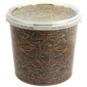 vers de Farine séchés GardenersDream - Friandises nutritives pour Oiseaux Sauvages (5L) (Gardener's Dream Ltd, neuf)