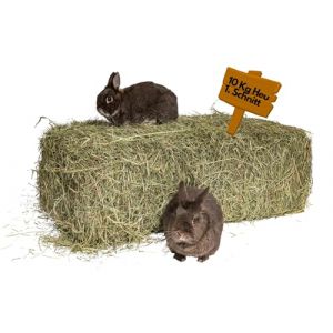 agrar-Store Foin 10 kg Foin de prairie 1ère coupe Foin de lapin de cochon d'Inde Paille fraîche et non traitée Récolte 2025 (Karton-billiger, neuf)