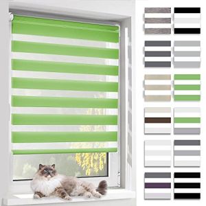 BelleMax Store Enrouleur Jour Nuit, Tissu Double, Rideau sans Perçage, Translucide Occultant et Protection Vie privée,pour Fenêtre et Porte,Vert,80l x 140L cm (Ominia, neuf)
