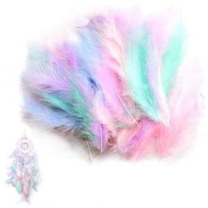 AUEFUDQ Lot de 200 Plumes colorées pour travaux manuels, Plumes de Bricolage, Coiffe Indienne pour Enfants, Accessoires de Bricolage pour Boucles d'oreilles, Mariage, Attrape-rêves, Plumes de Coiffe (puerrunlanshuoshangmaoyouxiangongsi, neuf)