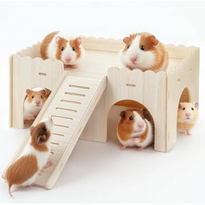 Grande Cabane Cochon d'Inde avec Rampe, avec 4 Entrées, Accessoires de Jouets pour Cochons d'Inde, pour Lapin Cochon d'Inde Chinchilla 38 x 25 x 18cm (Wnhcmte, neuf)