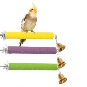 3 pi&egrave;ces Perroquet Jouet &agrave; M&acirc;cher Perroquet Cage Perche, pour l'entretien des Griffes et des becs, Formation Interactif Oiseau Cage Perches Perroquet Jouer Jouet, Perche Oiseau Jouet &agrave; M&acirc;cher (WANG  JIALEI UK STORE, neuf)