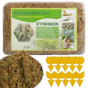 500g Sphaigne pour Plante, Naturelle Compress&eacute; Sphaigne pour Orchid&eacute;es M&eacute;lange pour Pot avec Moucherons Jaunes Sphaigne Fra&icirc;che Compress&eacute;e pour la Culture de Plantes &agrave; la Maison, Reptile (500g) (DongGuanShi JiJunShangMao YouXianGongSi, neuf)