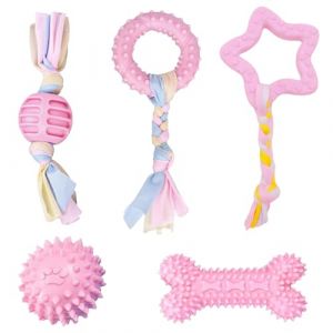 Ajuanbazha Lot de 5 Jouets à Mâcher pour Chiens et Chiots, Jouets Dentition en Caoutchouc et Cordes Colorées, Résistants Aux Morsures, Interactifs pour Petits et Moyens Chiens (LiJin-EU, neuf)