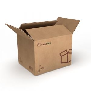 RaKuPack, carton d'exp&eacute;dition 100 pi&egrave;ces carton pliable 190 x 150 x 140 mm carton d&rsquo;emballage marron diff&eacute;rentes tailles (GardenFlora - Home & Garden, neuf)