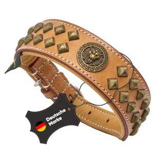MICHUR Diego Beige Collier pour Chien Collier en Cuir Collier pour Chien Cuir avec Appliques tête de Lion Clous Plats en Aklt Look Laiton Marron Beige Or Disponible en différentes Tailles (MICHUR, neuf)