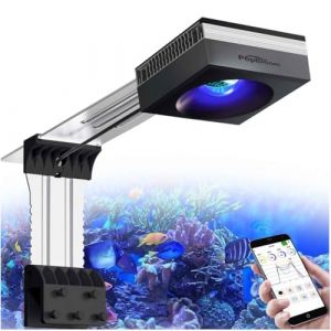 PopBloom RL90 WiFi Rampe LED Aquarium Eau de Mer 100W, APP Programme Marine Éclairage à Spectre Complet pour Aquarium de Corail, L'APP prend en charge le français (100W (RL90 Noir)) (liuxuann, neuf)