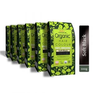 Radico Colour Me Organic Lot de 6 colorations au henn&eacute; 100 % naturel bio bio et sans ammoniaque PPD PTD avec Ecocert, Halal, Vegan Lot de 6 6 x 600 g (ORGANIChaarverf, neuf)