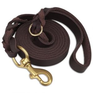Joytale Laisse Chien Cuir, Laisse en Cuir Robuste pour Chien avec Crochet en Laiton, Douce Et Durable, Adaptée Aux Petits, Moyens Et Grands Chiens（Marron, 150cm×2cm） (Joytale Pet, neuf)
