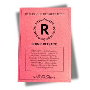 G&eacute;n&eacute;rique Permis Retrait&eacute; &ndash; Le Cadeau Humoristique Id&eacute;al pour F&ecirc;ter la Retraite (Leybroderie, neuf)