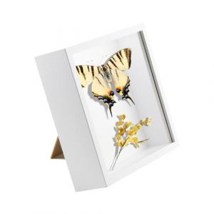 TENGYIF Cadre 3D 20x20 cm Cadre Profond, Cadre Photo Vitrine 3D Cadre Boîte en Bois Cadre d'Objet Carrée Pour Médailles, Billets, Fleurs, Souvenirs, Diamond Painting (BRAVITRIGUEIRO UNIPESSOAL LDA, neuf)