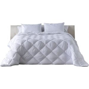 Lucena Cantos - Couette Longue Sp&eacute;ciale 270 cm, 300 g/m&sup2; (250 x 270) (Lucena Cantos SL, neuf)