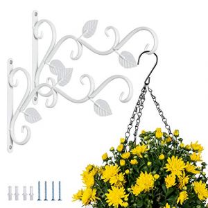 Support Mural pour Plantes Suspendues, 2 Pi&egrave;ces Crochets Suspension Fer Blanc Supports Muraux 29.5cm Pot Fleur Mangeoire &agrave; Oiseaux Cintre R&eacute;tro Crochet Jardin Int&eacute;rieur Ext&eacute;rieur Carillon Lanterne (BeautyTime24, neuf)
