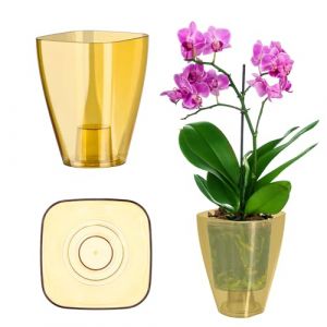 KADAX Pot de fleurs, pot d'orchidée, pot de fleurs simple, pot de fleurs pour orchidée, juvénile, marguerite, pot de fleurs pour cuisine et salon (diamètre 9 cm, carré, miel) (KADAX, neuf)